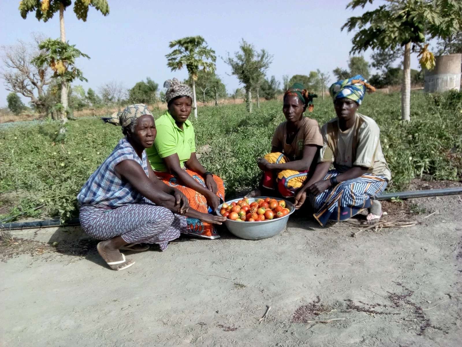 Women and girls celebrating
