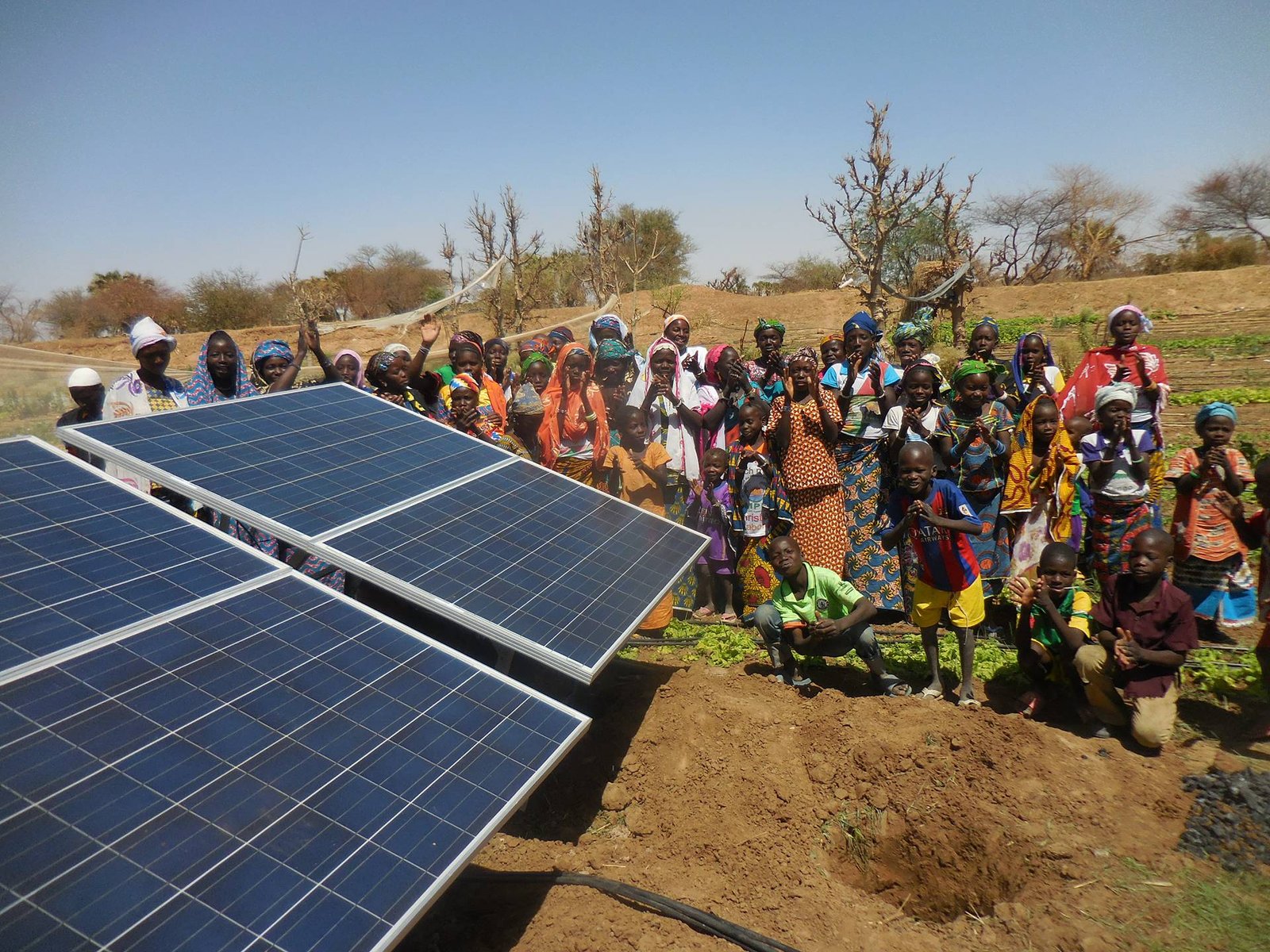 Solar PV irrigation for vegetable gardens